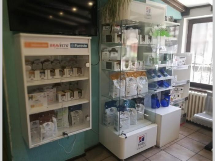 veterinar familyvet novi sad besplatni mali oglasi