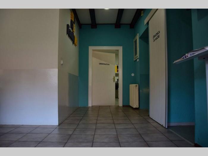 veterinar familyvet novi sad besplatni mali oglasi