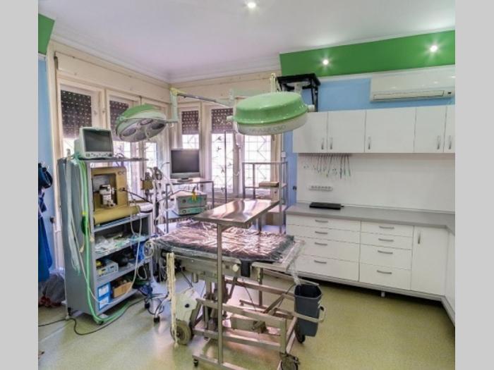 veterinar familyvet novi sad besplatni mali oglasi