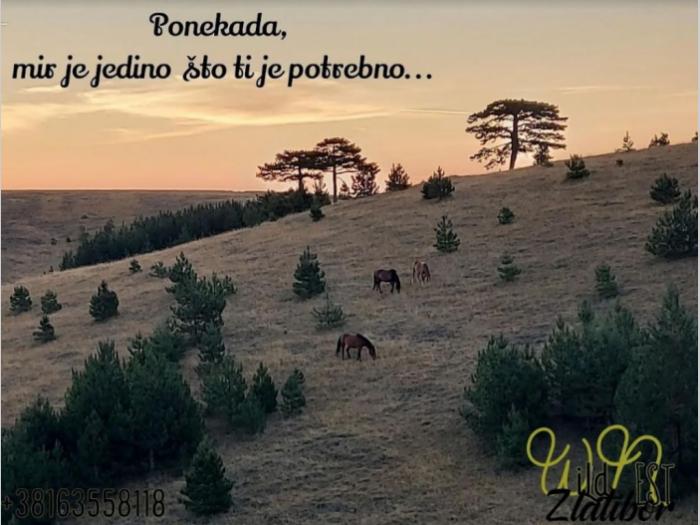 zlatibor apartmani wiild nest besplatni mali oglasi