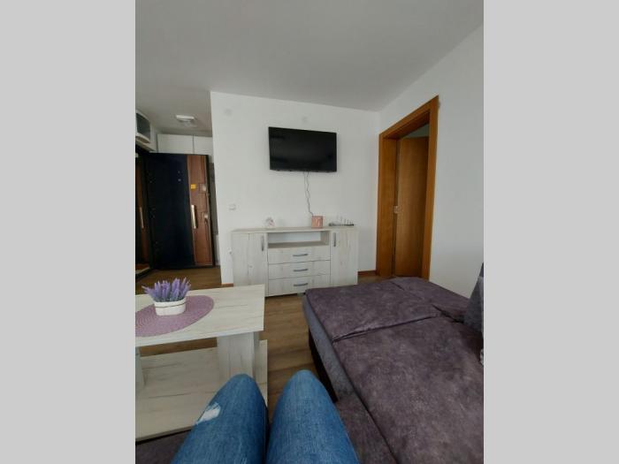 izdajem apartmane u vrnjačkoj banji besplatni mali oglasi
