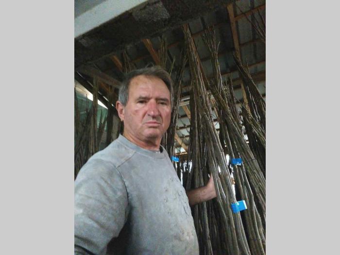 rasadnik milutovac besplatni mali oglasi