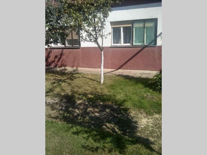 prodajem kuću u mokrinu besplatni mali oglasi