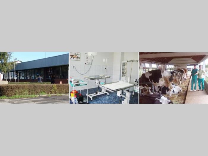 veterinarska stanica šabac besplatni mali oglasi