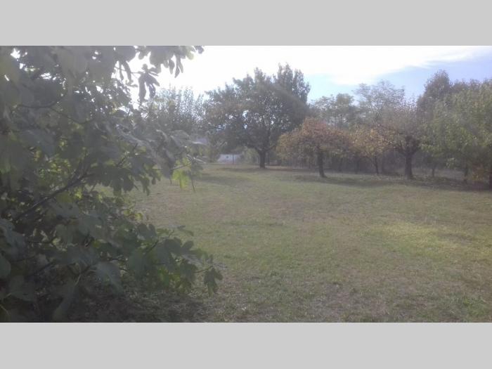 šabac, vladimirci (skupljen), kuća i plac (106m2, 14,03ari) besplatni mali oglasi