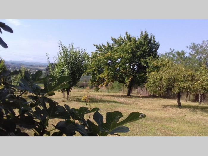 šabac, vladimirci (skupljen), kuća i plac (106m2, 14,03ari) besplatni mali oglasi