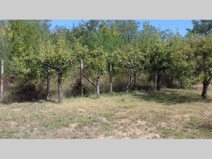šabac, vladimirci (skupljen), kuća i plac (106m2, 14,03ari) besplatni mali oglasi