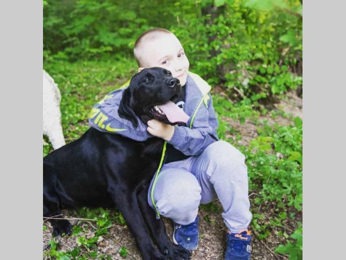 tartufari lagoto i labrador besplatni mali oglasi