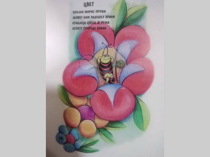 ručno rađene ilustracije razlicitim tehnikama (akril, drvene bojice, pastel besplatni mali oglasi