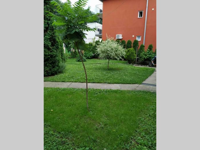 lily apartmani vrnjačka banja besplatni mali oglasi
