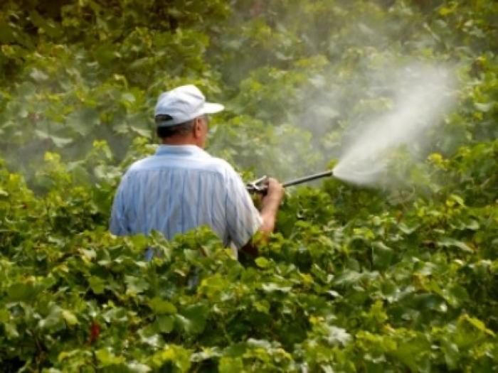 profesionalno orezivanje i zaštita vinove loze besplatni mali oglasi