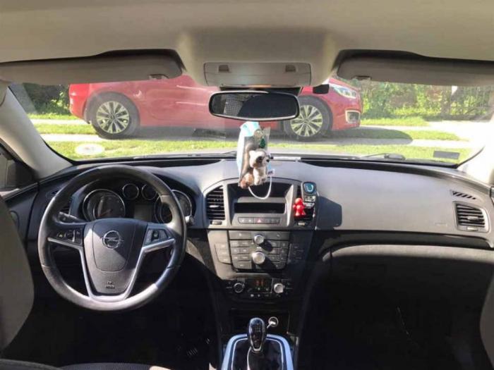 opel insignia 2 0 cdti 2011 godiste besplatni mali oglasi