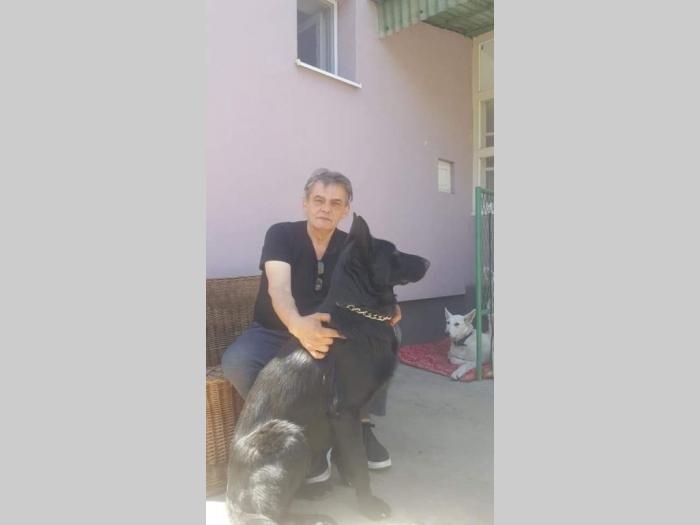 crni nemački ovčar besplatni mali oglasi