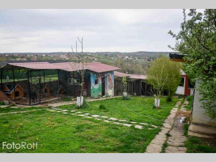 pansion za pse svih rasa beograd besplatni mali oglasi