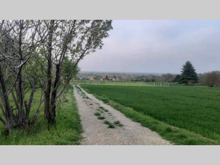 plac petrovaradin, karagača besplatni mali oglasi