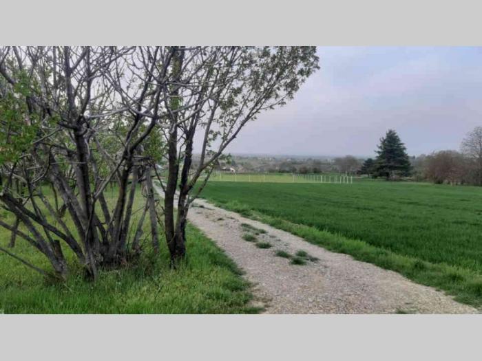 plac petrovaradin, karagača besplatni mali oglasi