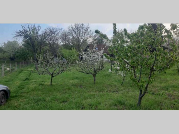 plac petrovaradin, karagača besplatni mali oglasi