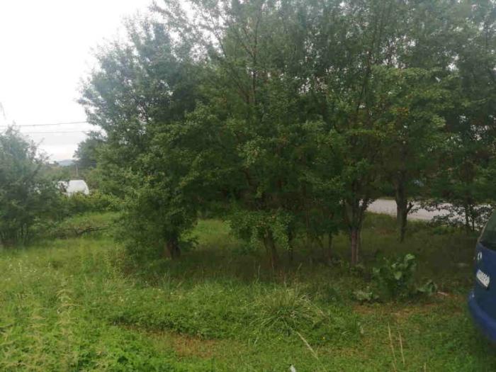prodajem plac u kraljevu, jarčujak besplatni mali oglasi