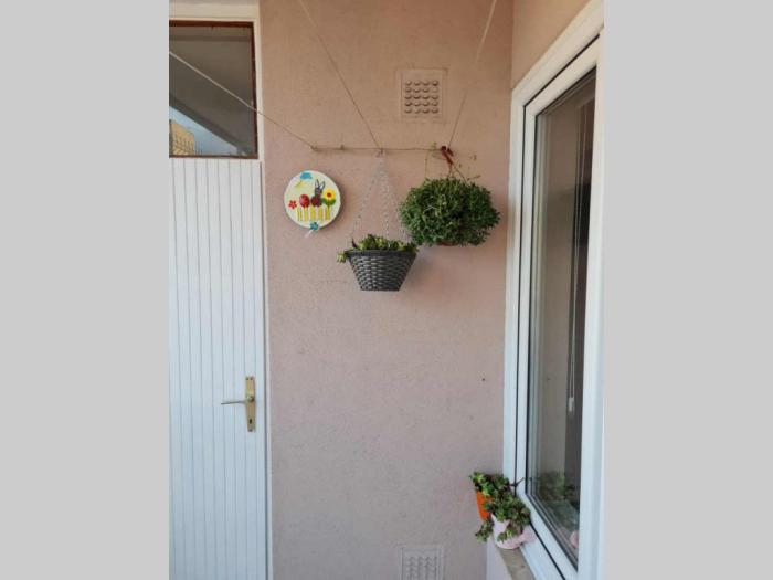 dvosoban stan u novom sadu, liman 3 besplatni mali oglasi