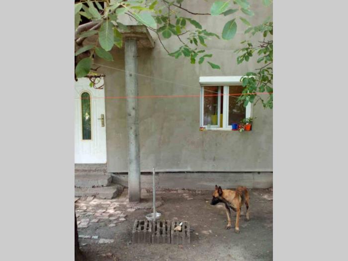 novi sad, veternik kuća na prodaju besplatni mali oglasi