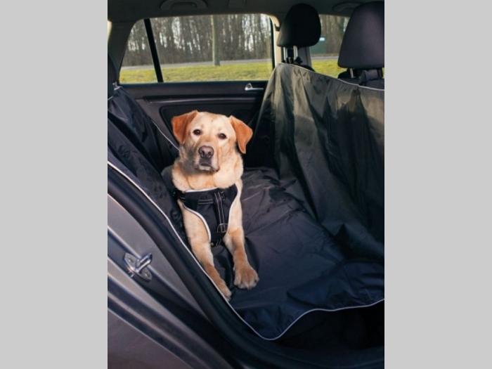 pet taxi šapoprevoz besplatni mali oglasi