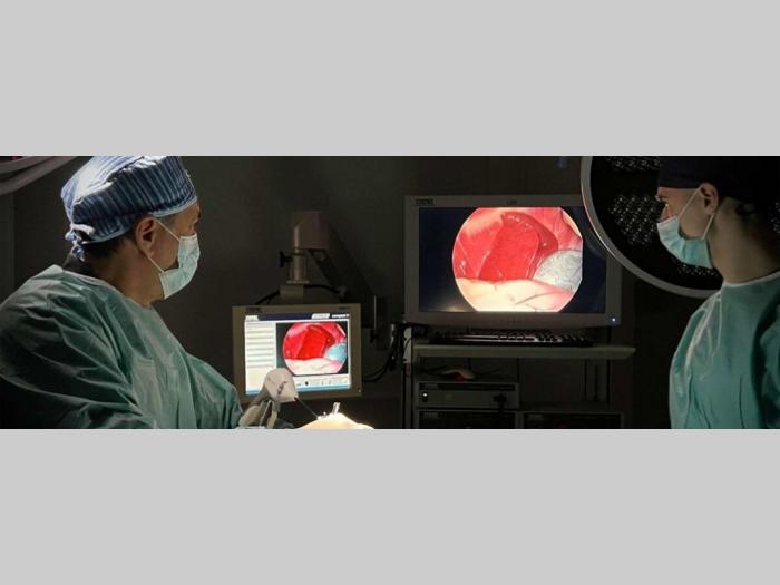 veterinarski centar za minimalno invazivnu hirurgiju ivavet besplatni mali oglasi
