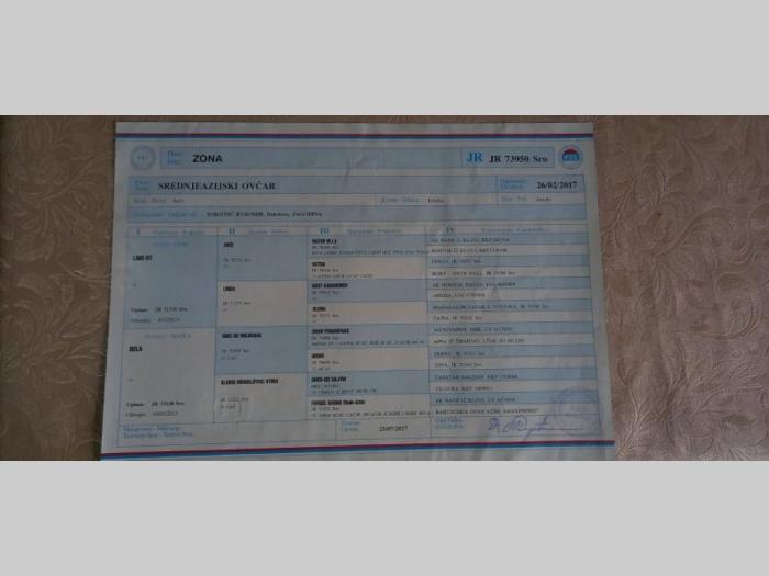srednjeazijski ovčar štenci besplatni mali oglasi