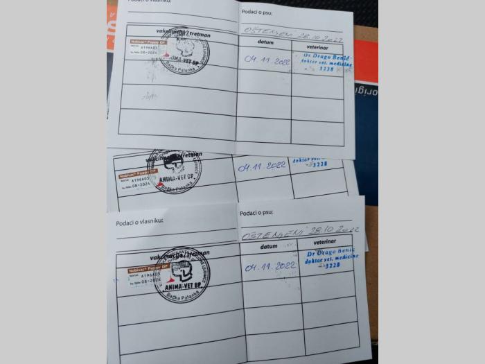 nemački pomeranski špic štenci besplatni mali oglasi