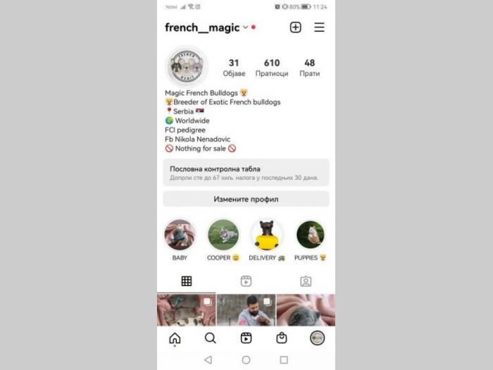 francuski buldog štenci besplatni mali oglasi