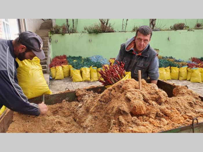 sadnice grožđa za proleće 2023 godine besplatni mali oglasi