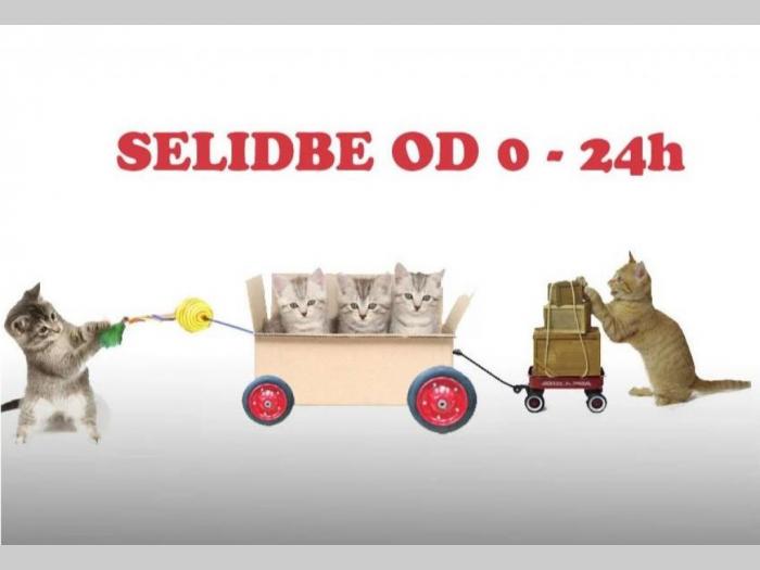 selidbe beograd agencija za selidbe u beogradu besplatni mali oglasi