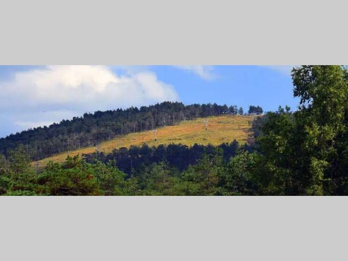 turistčka ponuda na divibarima besplatni mali oglasi
