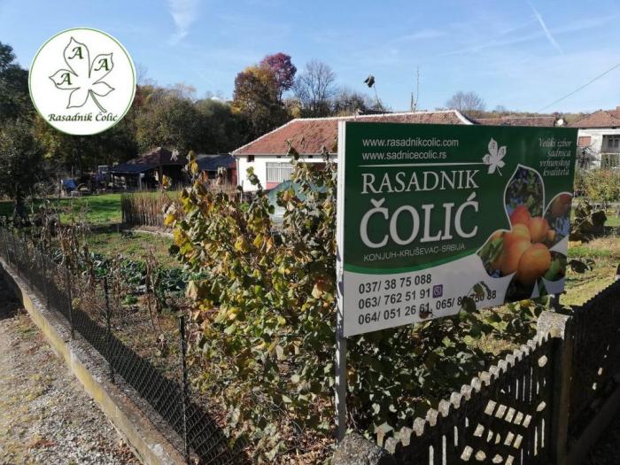 sadnice i odgovor kako podići kvalitetan voćnjak i vinograd  besplatni mali oglasi