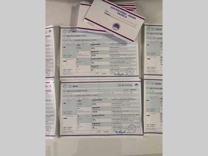 beli švajcarski ovčar štenci besplatni mali oglasi