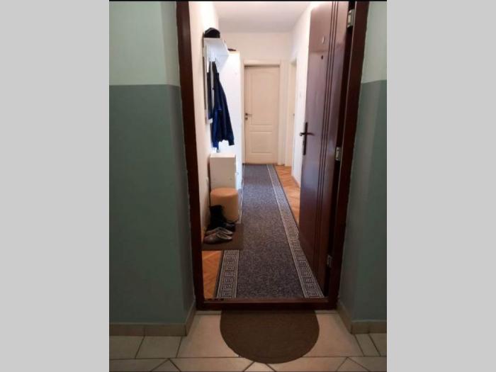 dvosoban stan novi sad besplatni mali oglasi