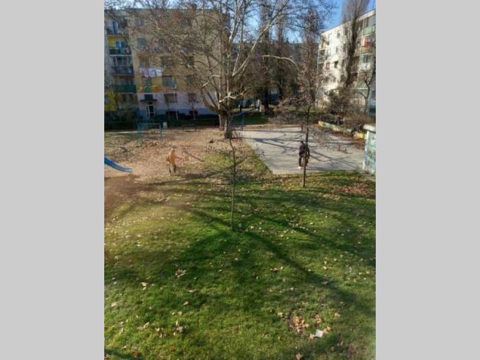 dvosoban stan novi sad besplatni mali oglasi