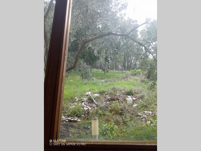 izuzetna kuća na policama, trebinje besplatni mali oglasi