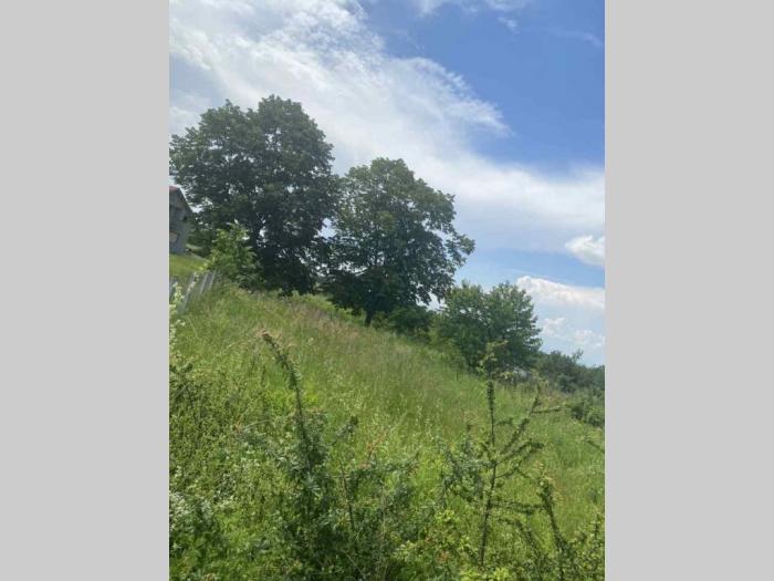 na prodaju je plac u cerovi kruševac besplatni mali oglasi