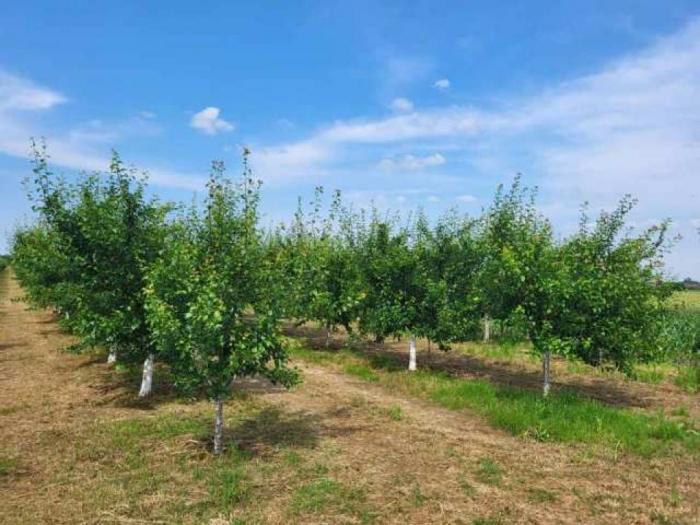 poljoprivredno i građevinsko zemljište besplatni mali oglasi