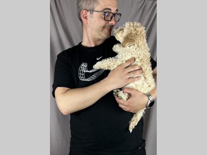 lagoto romagnolo prekepi štenci besplatni mali oglasi