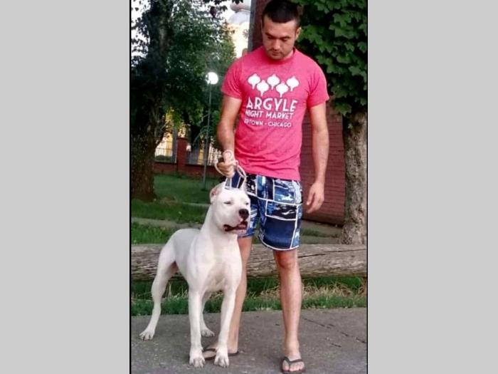 dogo argentino štenci besplatni mali oglasi