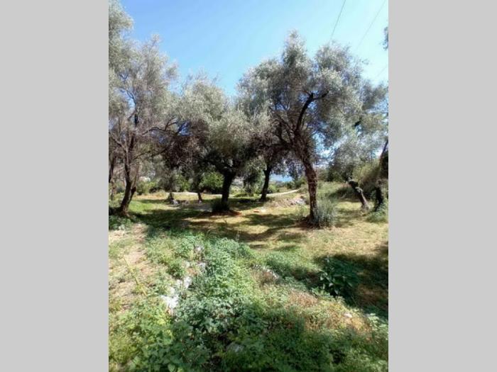 herceg novi građevinski placevi na 1 7 km od centra besplatni mali oglasi
