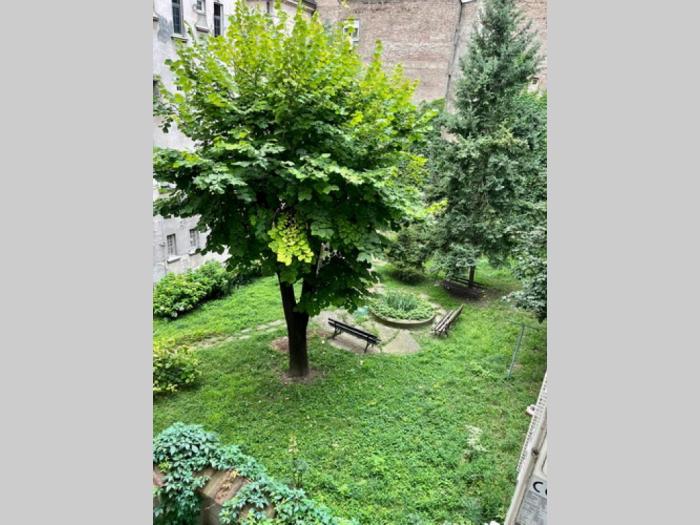 izdajem poslovni prostor u strogom centru, dobrinjska, 22m2 besplatni mali oglasi