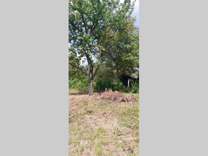 prodajem odličan plac u lipovici, 10 ari ko sremcica opština čukarica besplatni mali oglasi