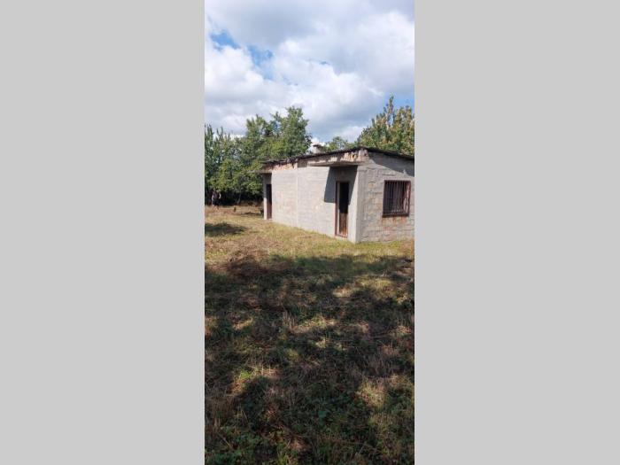 prodajem odličan plac u lipovici, 10 ari ko sremcica opština čukarica besplatni mali oglasi