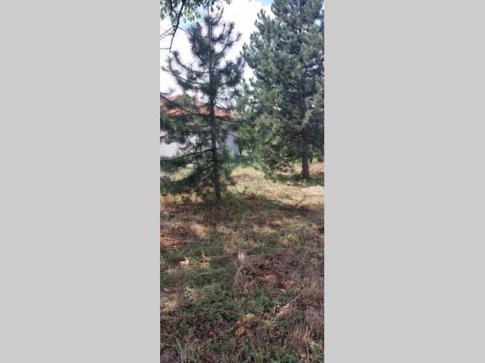 prodajem odličan plac u lipovici, 10 ari ko sremcica opština čukarica besplatni mali oglasi
