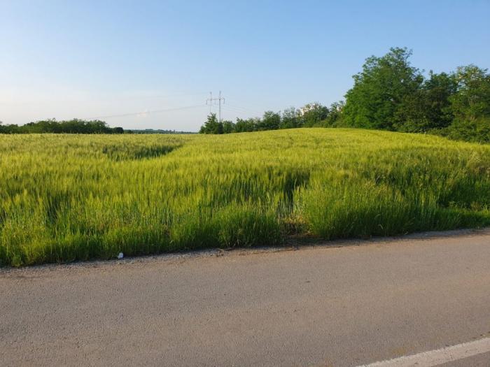 prodajem plac 101 ar u velikoj moštanici opština čukarica 15min od beograda besplatni mali oglasi