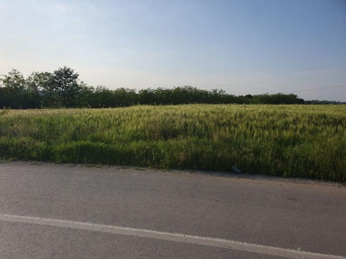 prodajem plac 101 ar u velikoj moštanici opština čukarica 15min od beograda besplatni mali oglasi