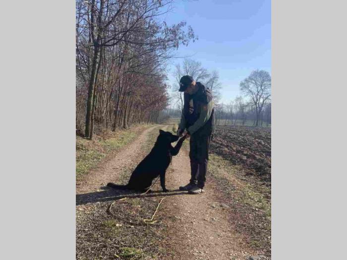 poklanjam dresiranu vrhunsku ženku crnog nemačkog ovčara besplatni mali oglasi