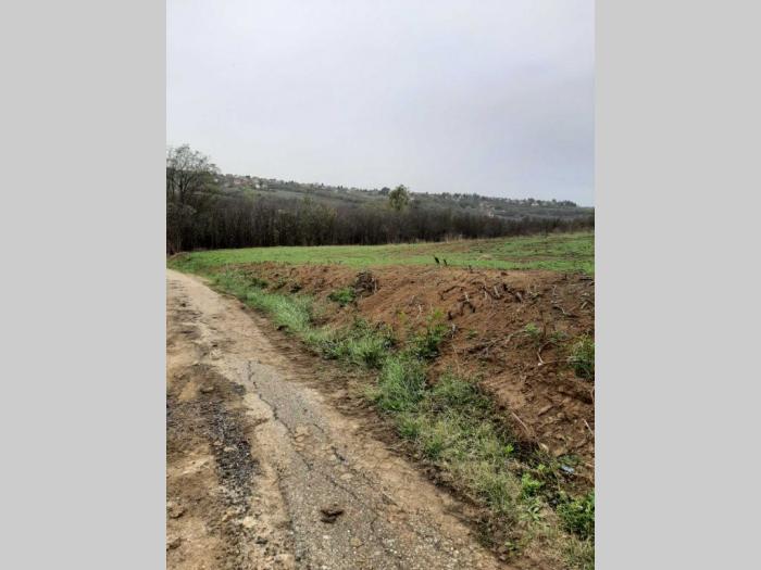 prodaje se plac 10 ari opština čukarica mesto velika moštanica besplatni mali oglasi